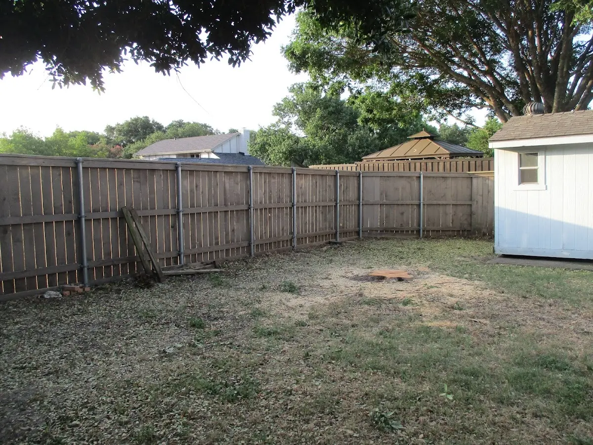 Cleared yard after professional tree removal in Pickens