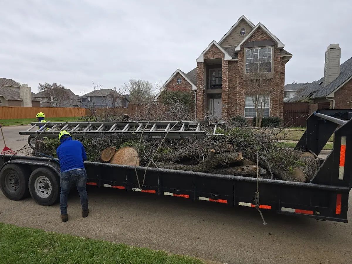 Expert Tree Pest Control with proper safety equipment in Pickens